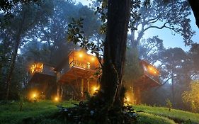 Nature Zone Jungle Resort