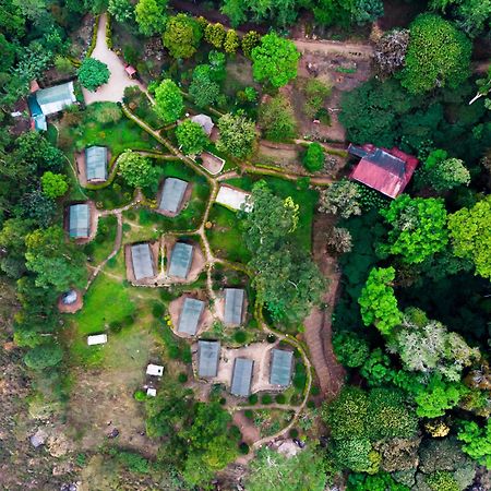 Nature Zone Jungle Resort Munnar Dış mekan fotoğraf